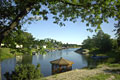 Northern Ontario summer landscape